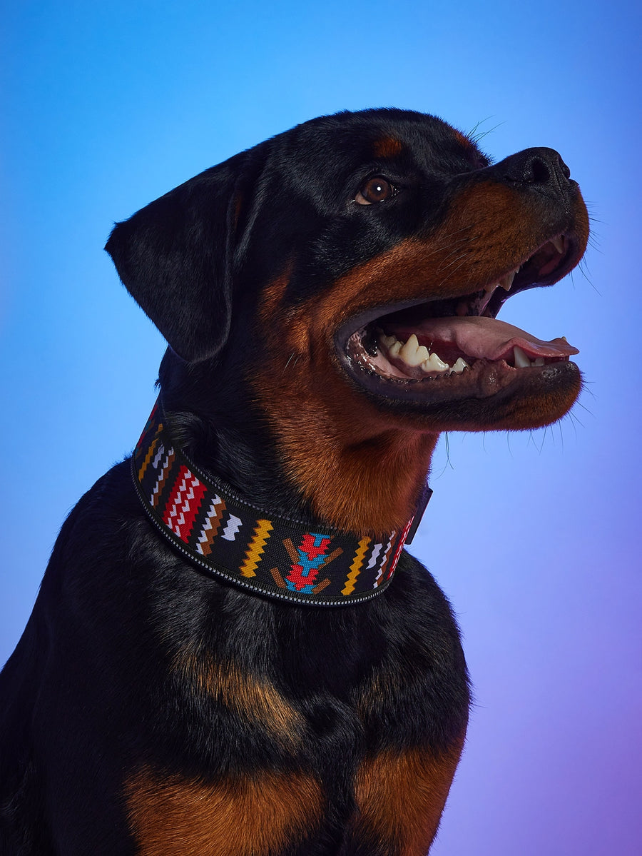 Colorful Wave Pattern Outdoor Reflective Adjustable Pet Collar with Leash Attachment, Suitable for Dogs to Wear When They Go Out, Suitable for Music Festivals