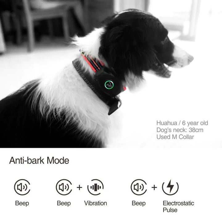 The DB400 Remote Dog Bark & Training Collar