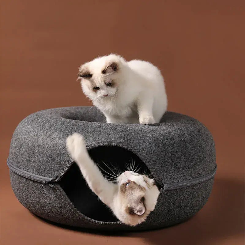 Cats Just Wanna Have Fun! The Claw Clove™ Interactive Cat Donut Bed