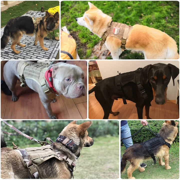 Tactical Dog Harness With Handle and Bungee Leash For Large Dogs