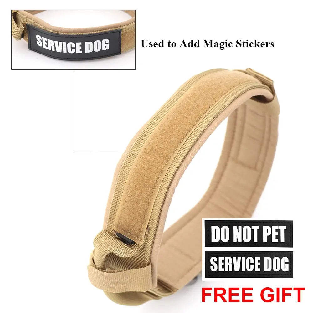 Collar For Dogs