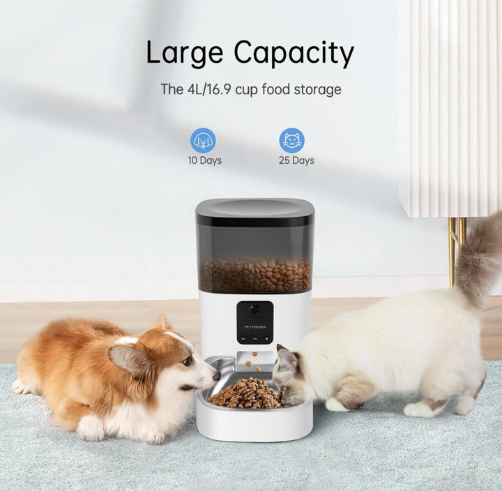 Smart 6L Automatic Pet Feeder with Camera, App Control, and Voice Recorder