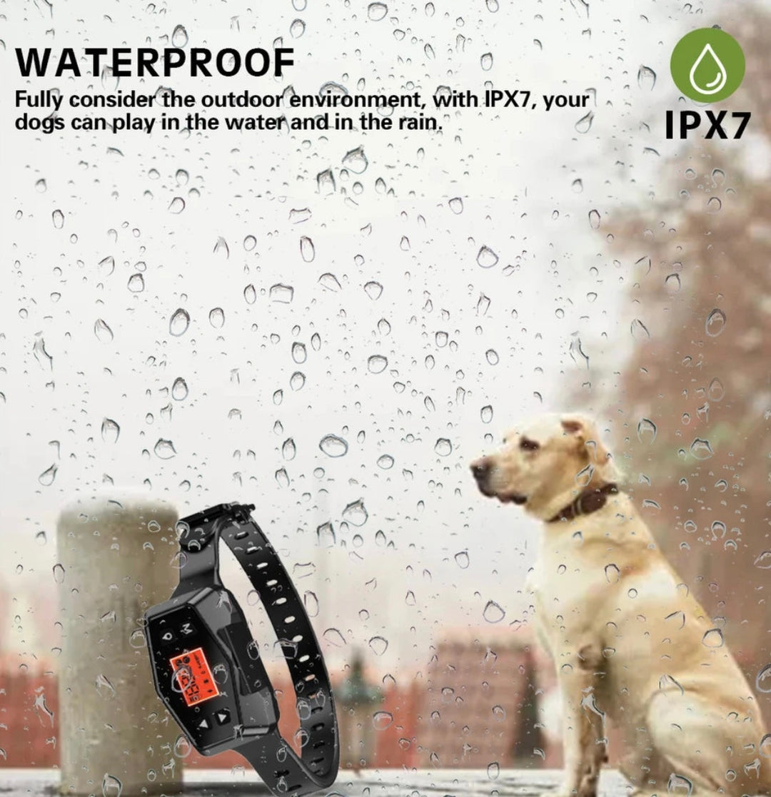 Are You Struggling to Keep Your Dog Safe and Within Boundaries? Order the GPS Dog Fence System: Outdoor Wireless Collar with Smart Electric Shock Training, Waterproof, 33-999 Yards Range - No App Needed - FAST and FREE SHIPPING