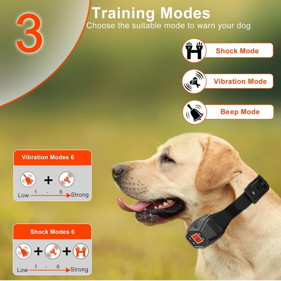 Are You Struggling to Keep Your Dog Safe and Within Boundaries? Order the GPS Dog Fence System: Outdoor Wireless Collar with Smart Electric Shock Training, Waterproof, 33-999 Yards Range - No App Needed - FAST and FREE SHIPPING