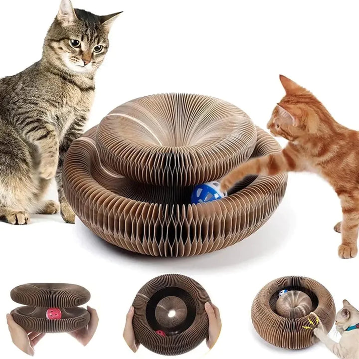 Magic Organ Cats Scratcher Toy