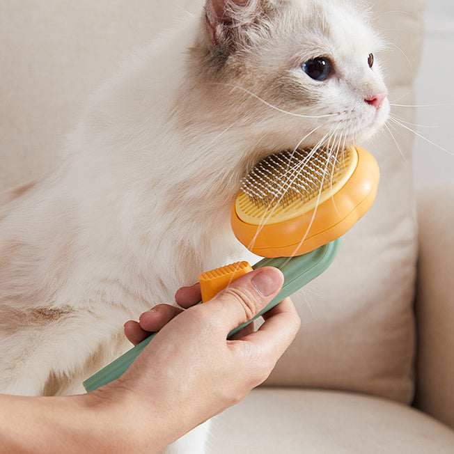 Cute Pumpkin Pet Grooming Comb