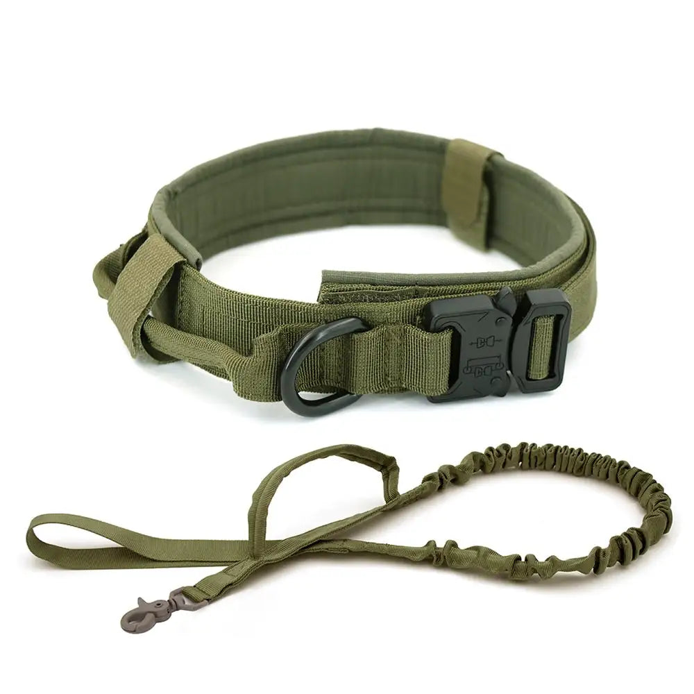 Collar For Dogs