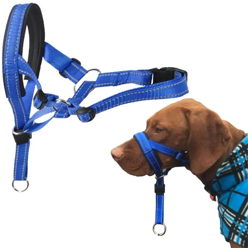 Dog Halter Training Head Collar