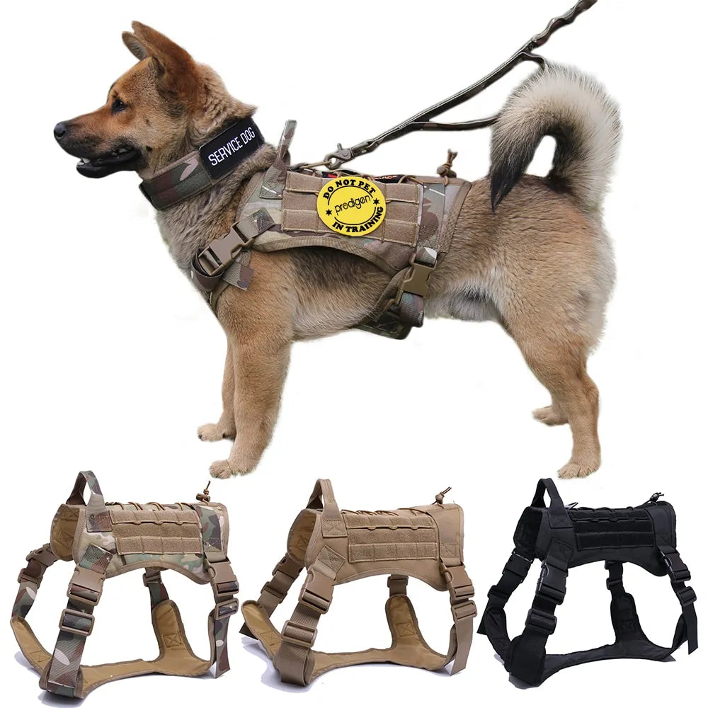 Tactical Dog Harness With Handle and Bungee Leash For Large Dogs